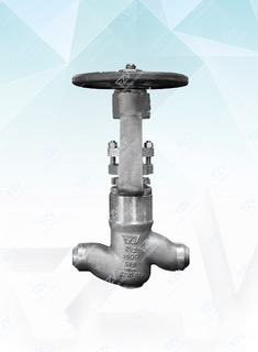 Globe Valves O&G